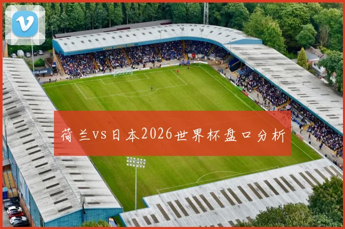 荷兰vs日本2026世界杯盘口分析