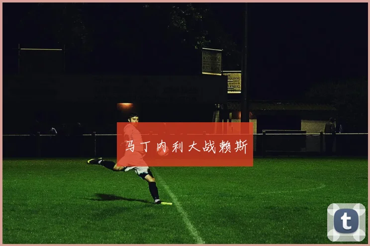 马丁内利大战赖斯
