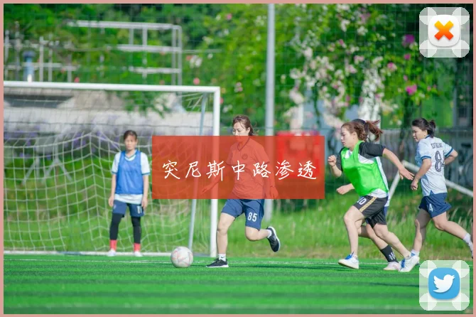 突尼斯中路渗透