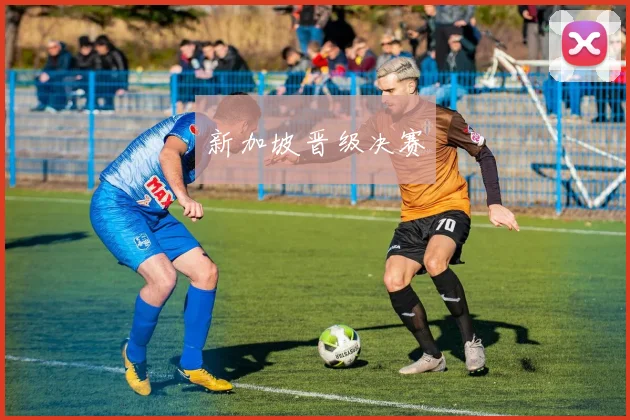 新加坡晋级决赛