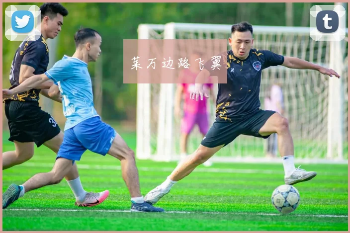莱万边路飞翼
