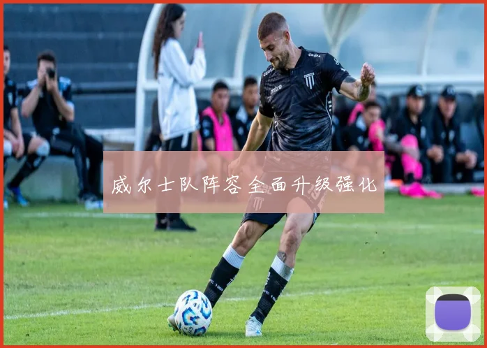 威尔士队阵容全面升级强化