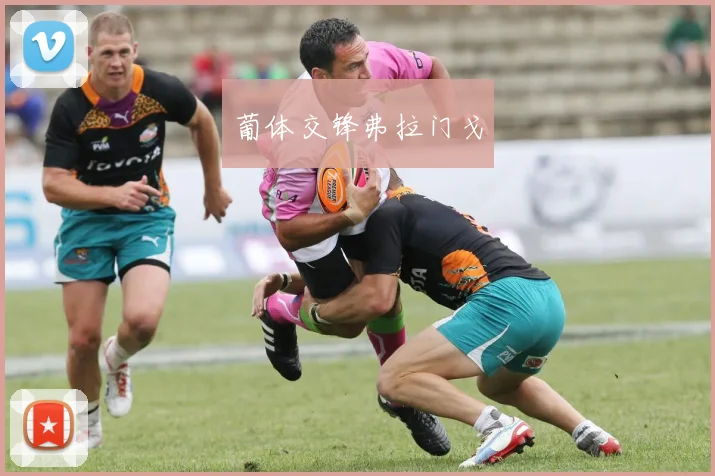 葡体交锋弗拉门戈