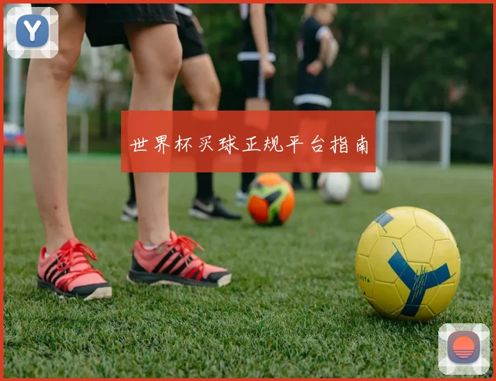 世界杯买球正规平台指南