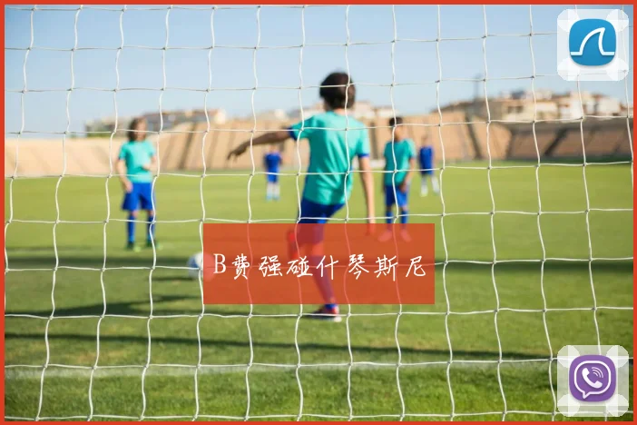 B费强碰什琴斯尼
