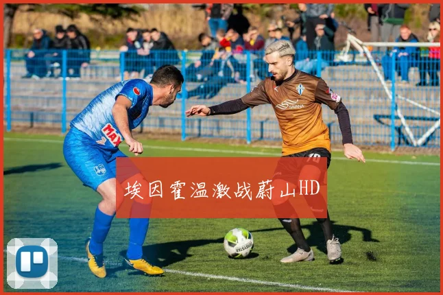 埃因霍温激战蔚山HD