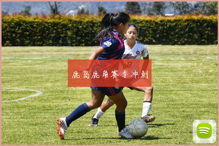 鹿岛鹿角赛季冲刺