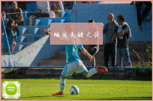 缅甸关键之夜
