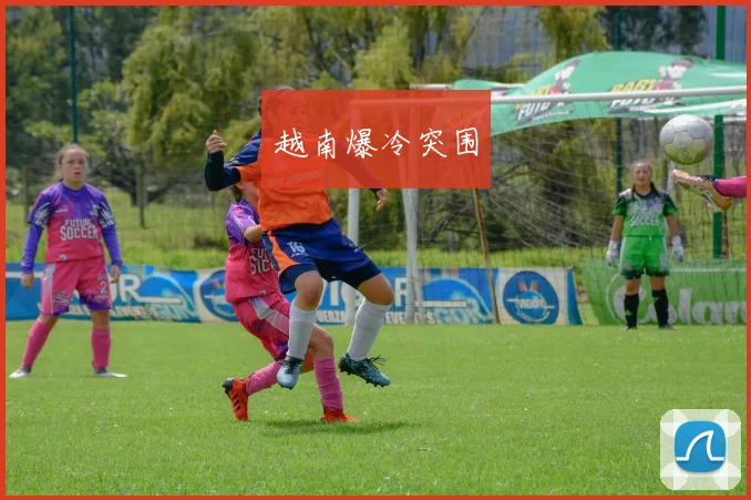 越南爆冷突围