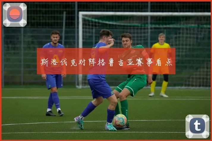 斯洛伐克对阵格鲁吉亚赛事看点