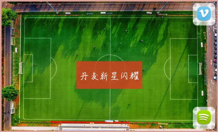 丹麦新星闪耀