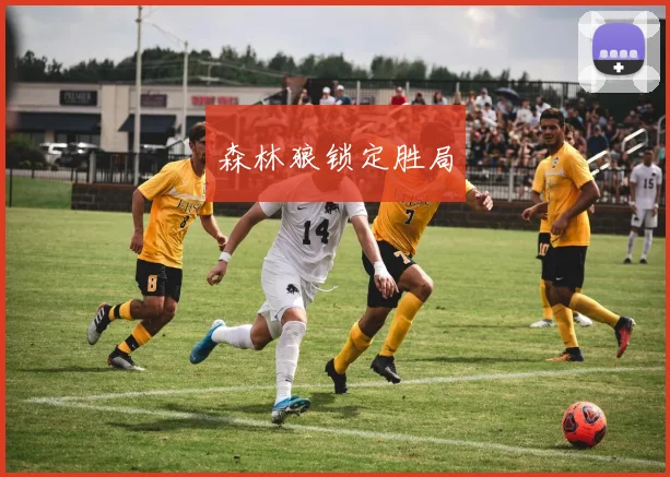 森林狼锁定胜局