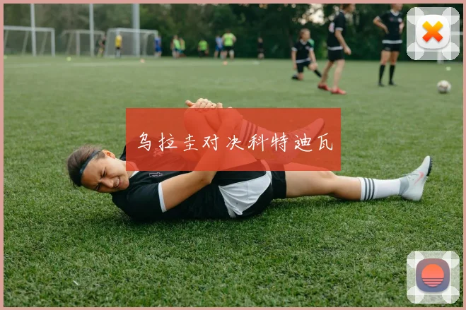 乌拉圭对决科特迪瓦