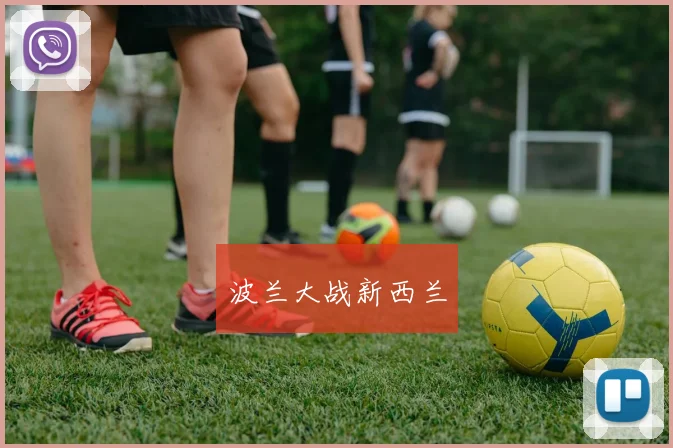 波兰大战新西兰