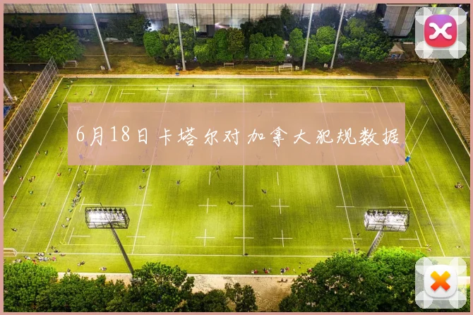 6月18日卡塔尔对加拿大犯规数据