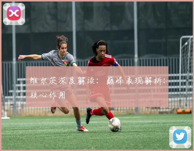 维尔茨深度解读：巅峰表现解析：核心作用