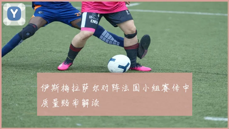 伊斯梅拉萨尔对阵法国小组赛传中质量赔率解读