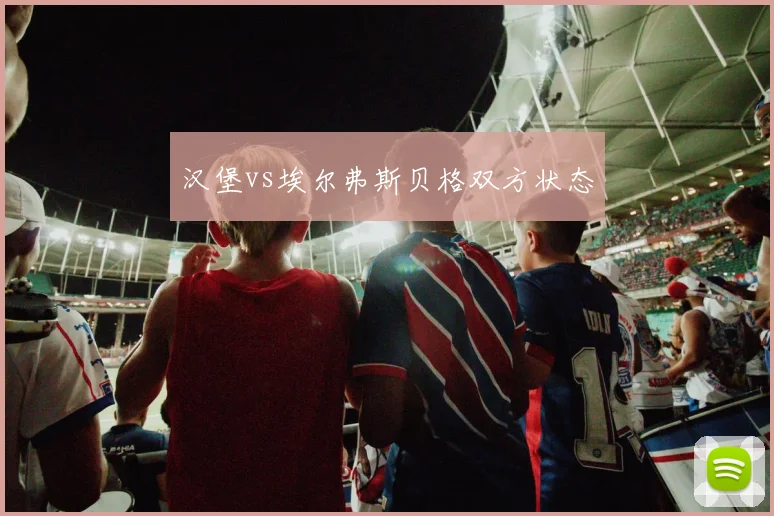 汉堡vs埃尔弗斯贝格双方状态
