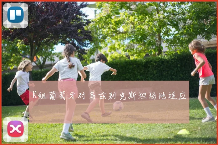 K组葡萄牙对乌兹别克斯坦场地适应